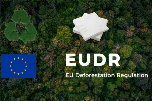 Navigating EUDR in 2026: How European Wholesale Tissue Paper Importers Can Pr...
